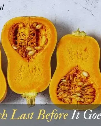 Squash Last Before It Goes Bad