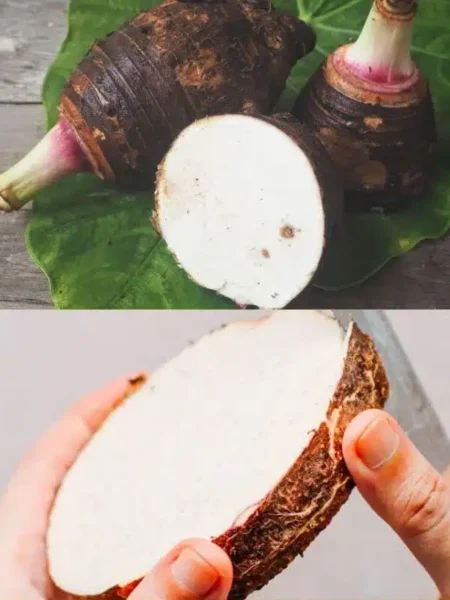 Taro Cooking and Recipe