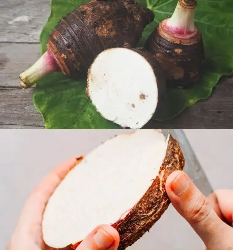 Taro Cooking and Recipe