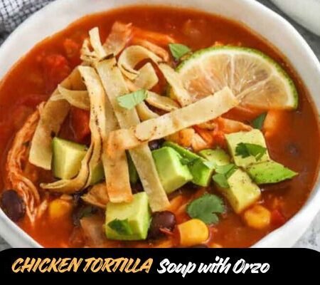 Chicken Tortilla Soup with Orzo